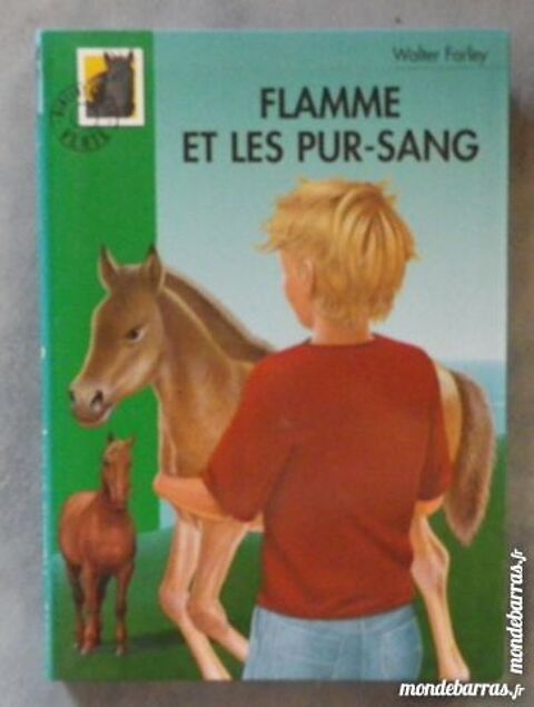 FLAMME ET LES PUR-SANG BIBLIO VERTE SOUPLE N°331 2 Attainville (95)
