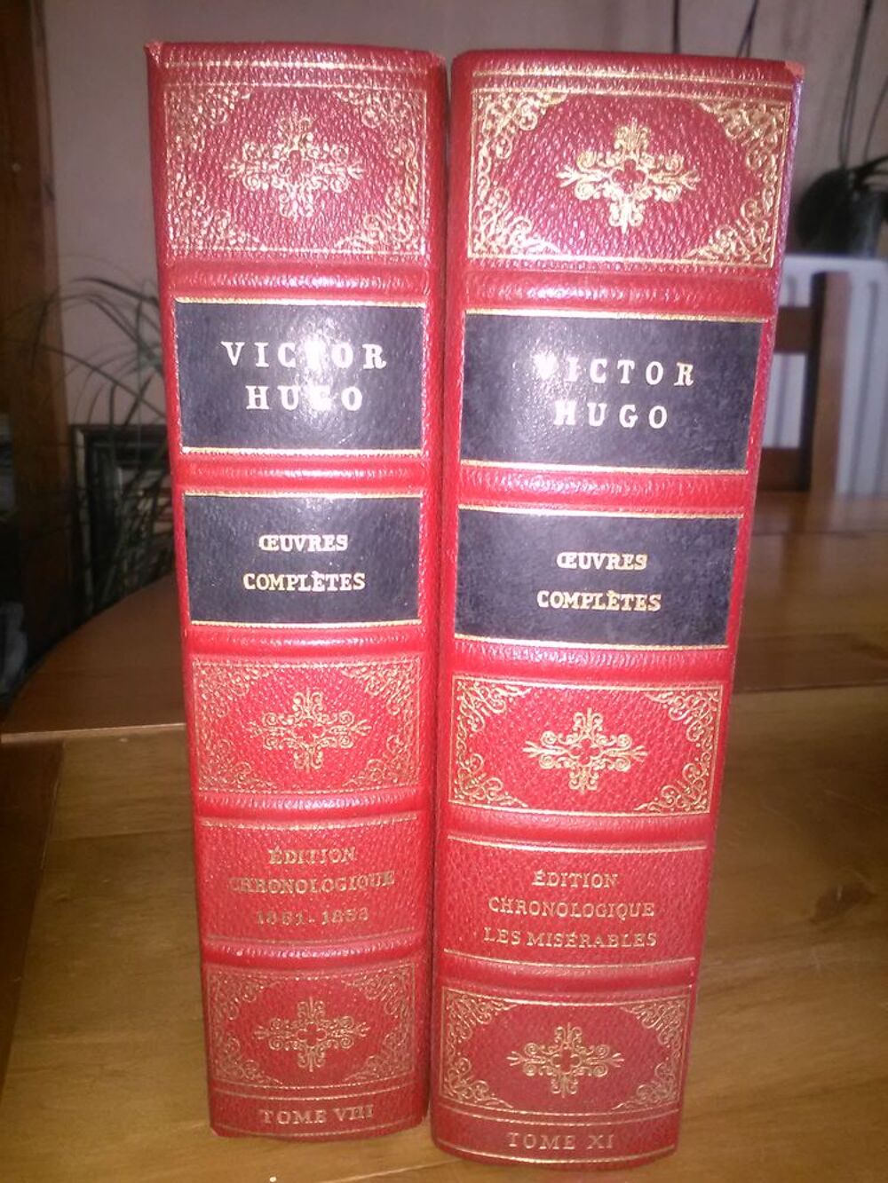Victor HUgo Livres et BD