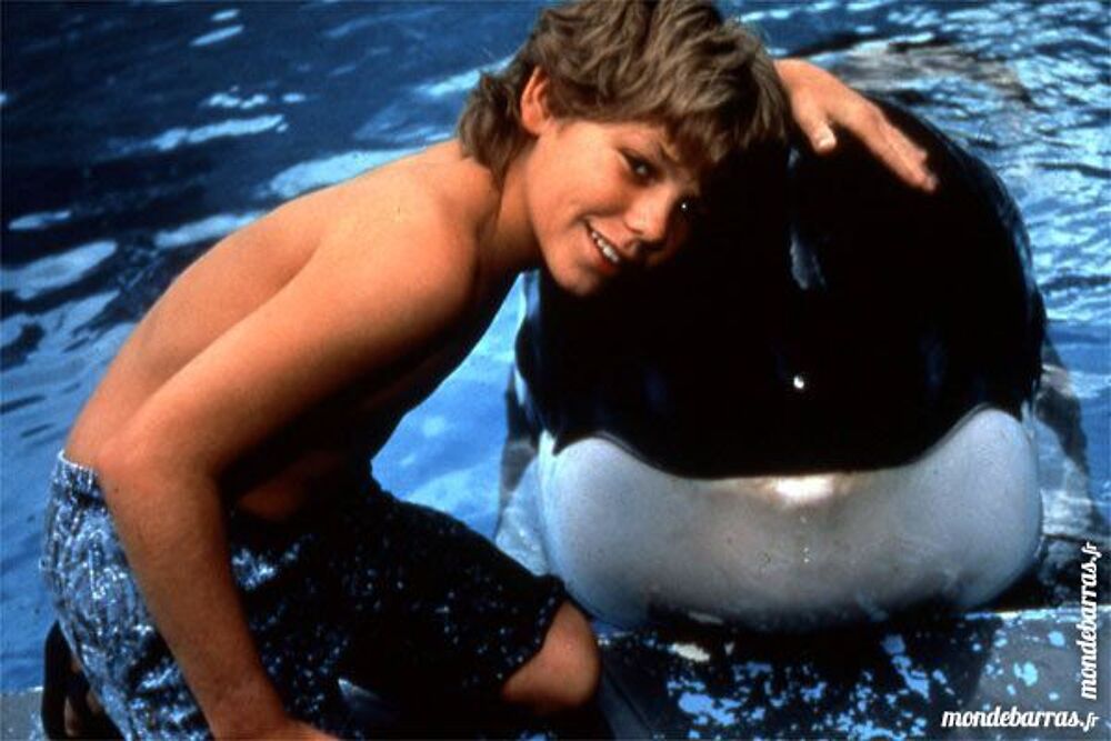 Dvd: Sauvez Willy (316) DVD et blu-ray