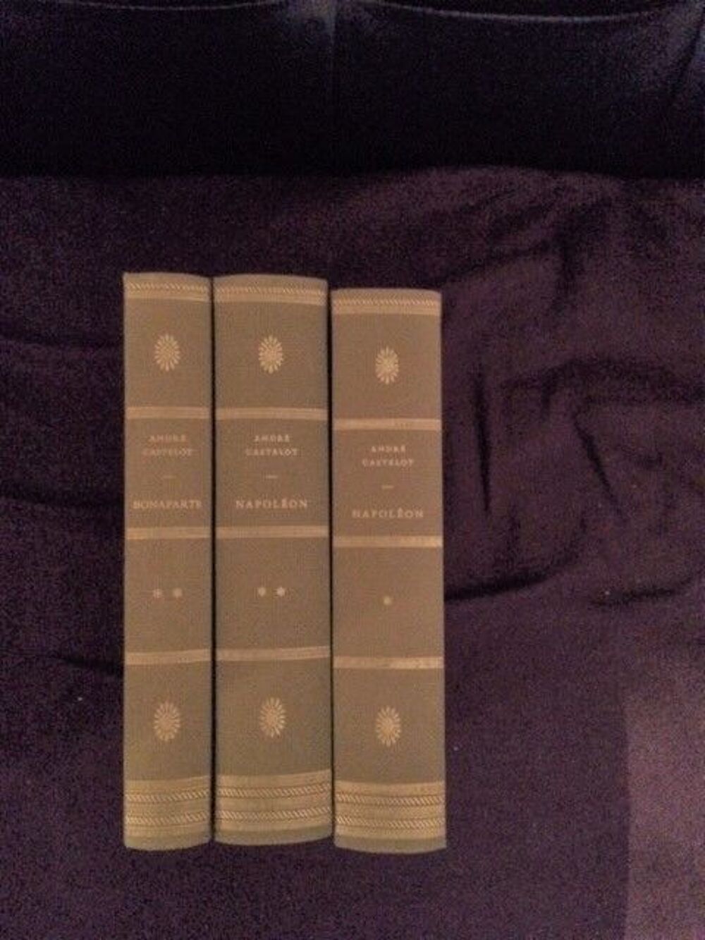 TOUT SAVOIR SUR NAPOLEON ET BONAPARTE Livres et BD