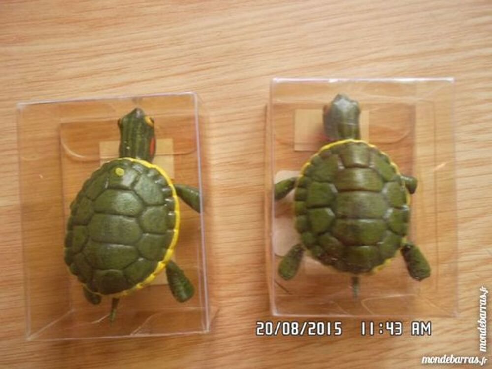 tortue aimant&eacute;e Décoration