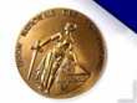 Medaille bronze combattant monnaie PARIS THIEBAUD Bourse des collections