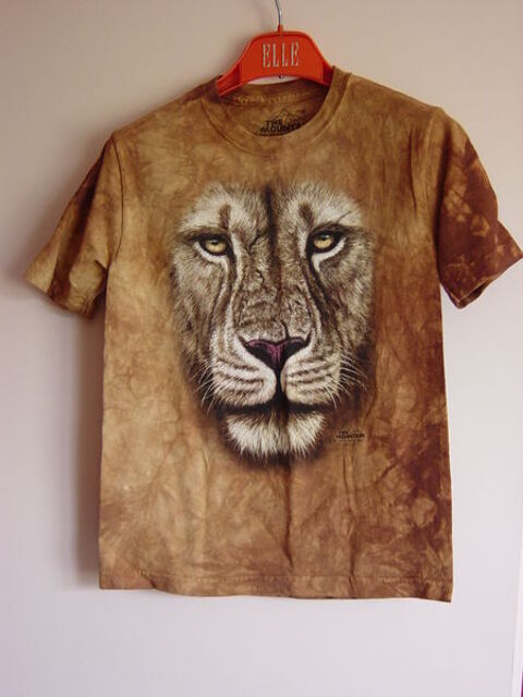 T SHIRT 3 D LION pour ENFANT 10 Saint-Germain (70)