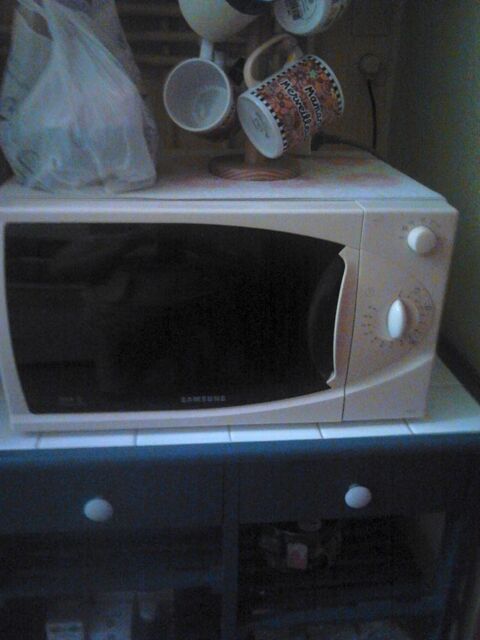 four micro-onde 25 Saint-Etienne (42)
