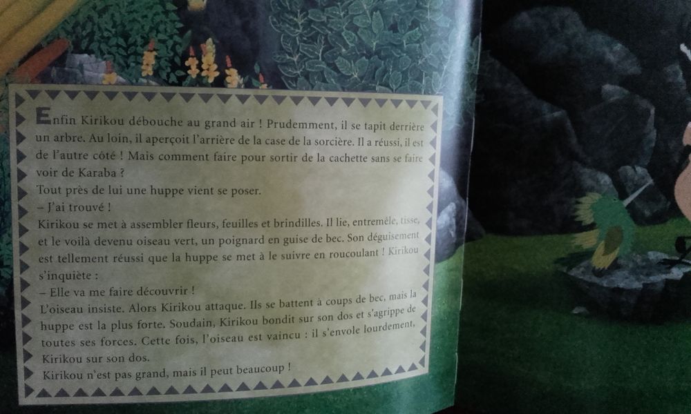 Livre pour enfant de Michel Ocelot Livres et BD