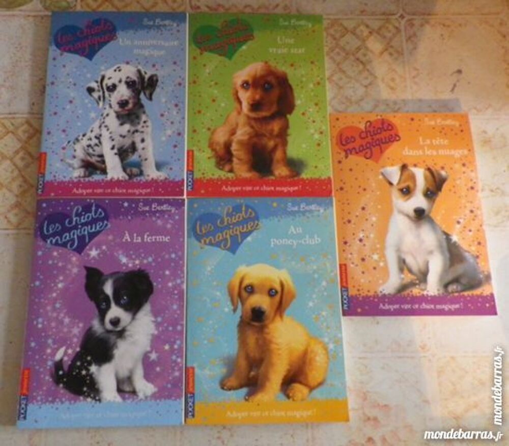 LOT 5 LIVRES LES CHIOTS MAGIQUES POCKET JEUNESSE Livres et BD