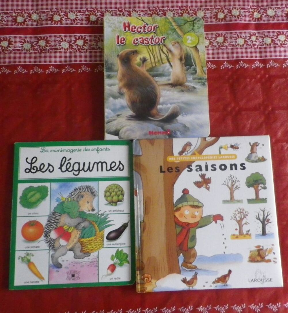 LOT DE 3 LIVRES CASTOR LEGUMES SAISONS Livres et BD