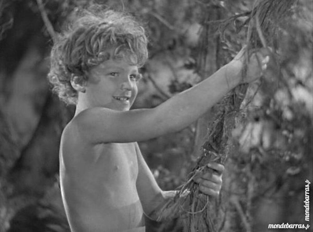 K7 Vhs: Tarzan trouve un fils (281) DVD et blu-ray