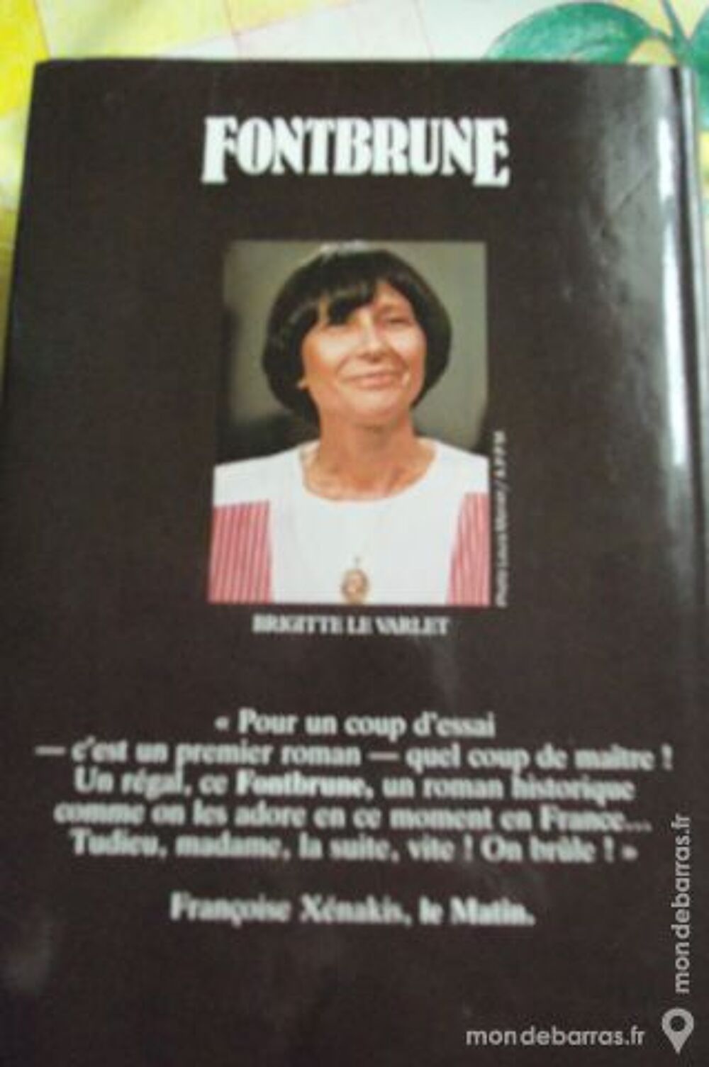 Roman &laquo;Fontbrune &raquo; de Brigitte Le Varlet Livres et BD