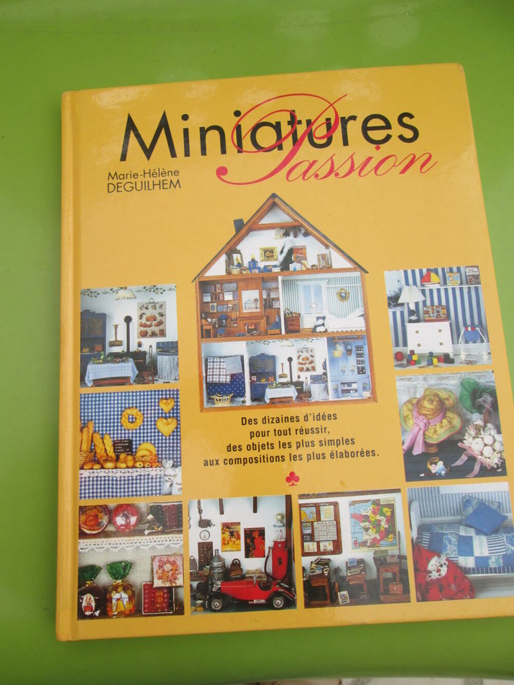 Achetez livre 'miniatures occasion, annonce vente à Goussainville