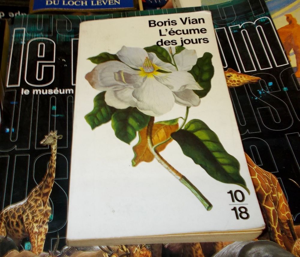 Roman l'&eacute;cume des jours de boris Vian Livres et BD