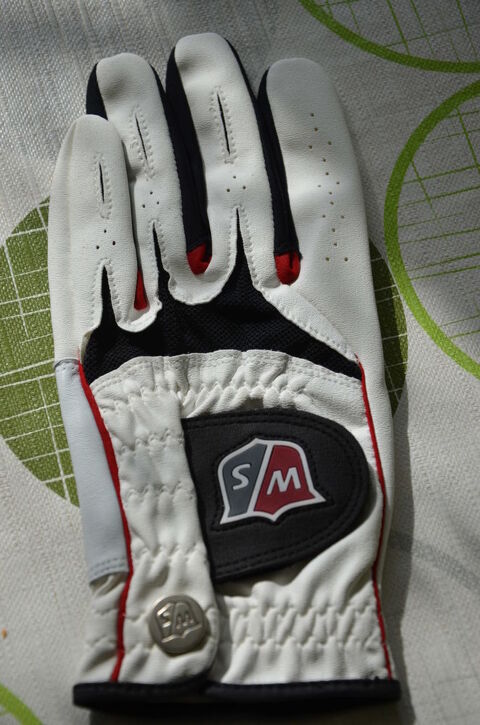 Gant de GOLF 9 Saint-Romain-le-Puy (42)