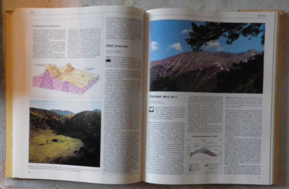 DICTIONNAIRE ILLUSTRE DES MERVEILLES NATURELLES DU MONDE Livres et BD