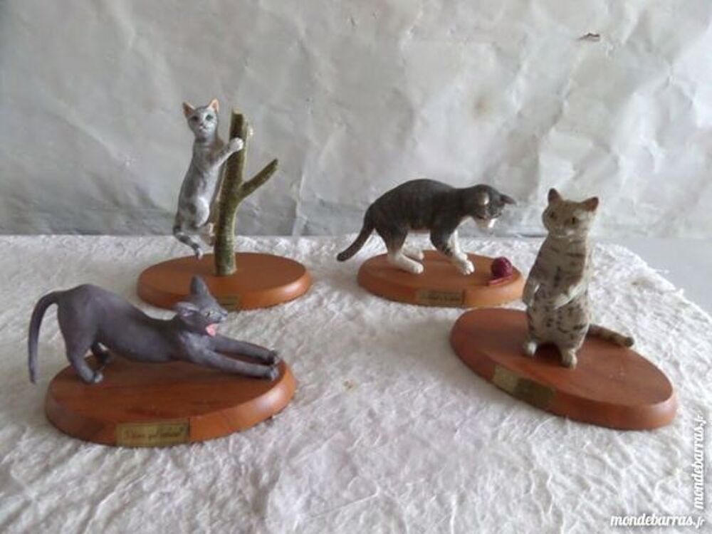 sujets de petits chats 