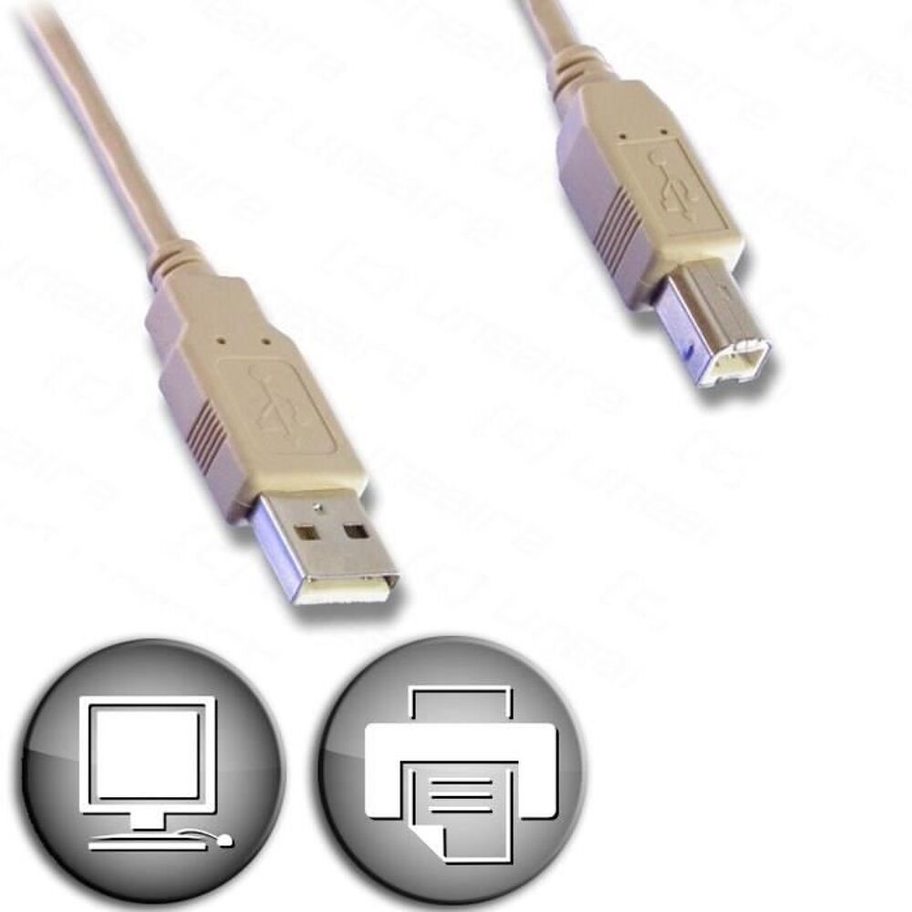 CORDON USB-AB moul&eacute; Matriel informatique