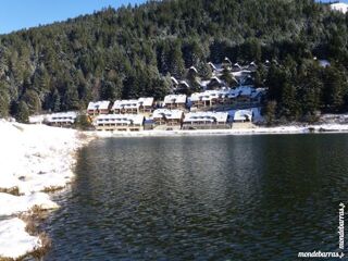 Location  Appartement 