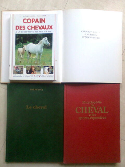 copains des chevaux, encyclopdie du cheval - zoe 5 Martigues (13)