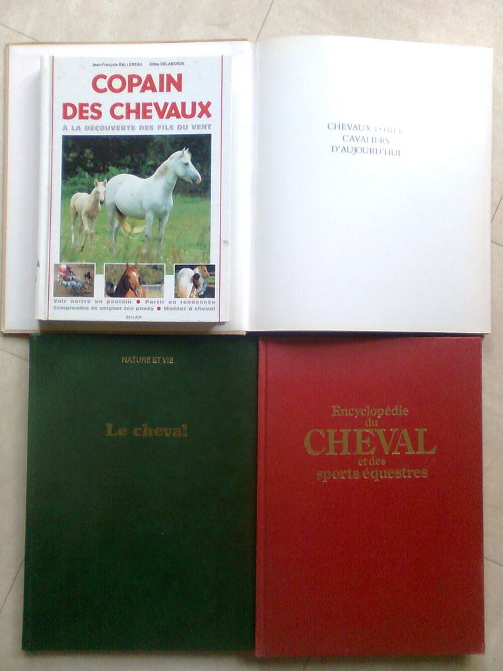 copains des chevaux, encyclop&eacute;die du cheval - zoe Livres et BD