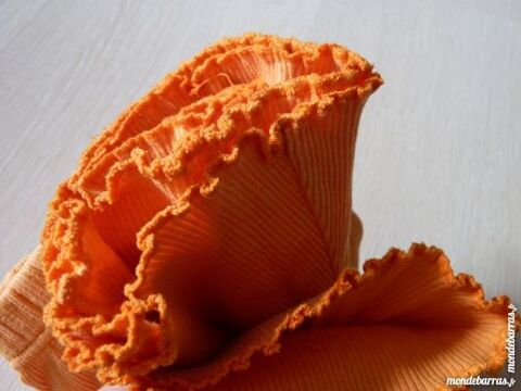 Jupe 2 ans 2 Brienne-le-Chteau (10)