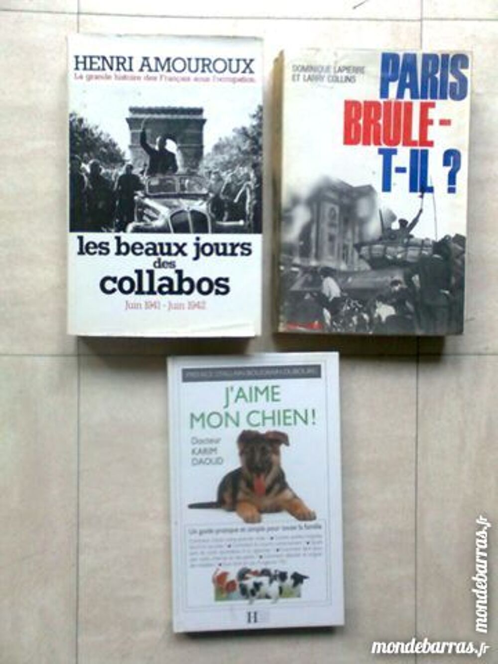 Paris brule-t-il - Bx j. des collabos -chien - zoe Livres et BD