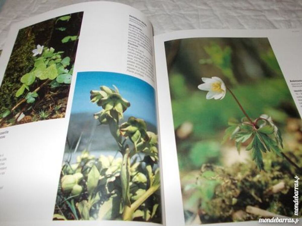 Les fleurs Livres et BD