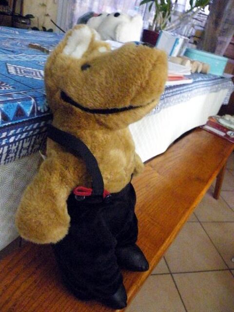 chien en salopette 2 Viriat (01)