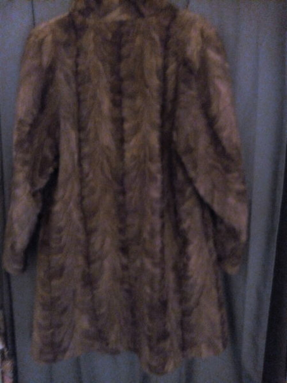 manteau de fourrure en vison Vêtements
