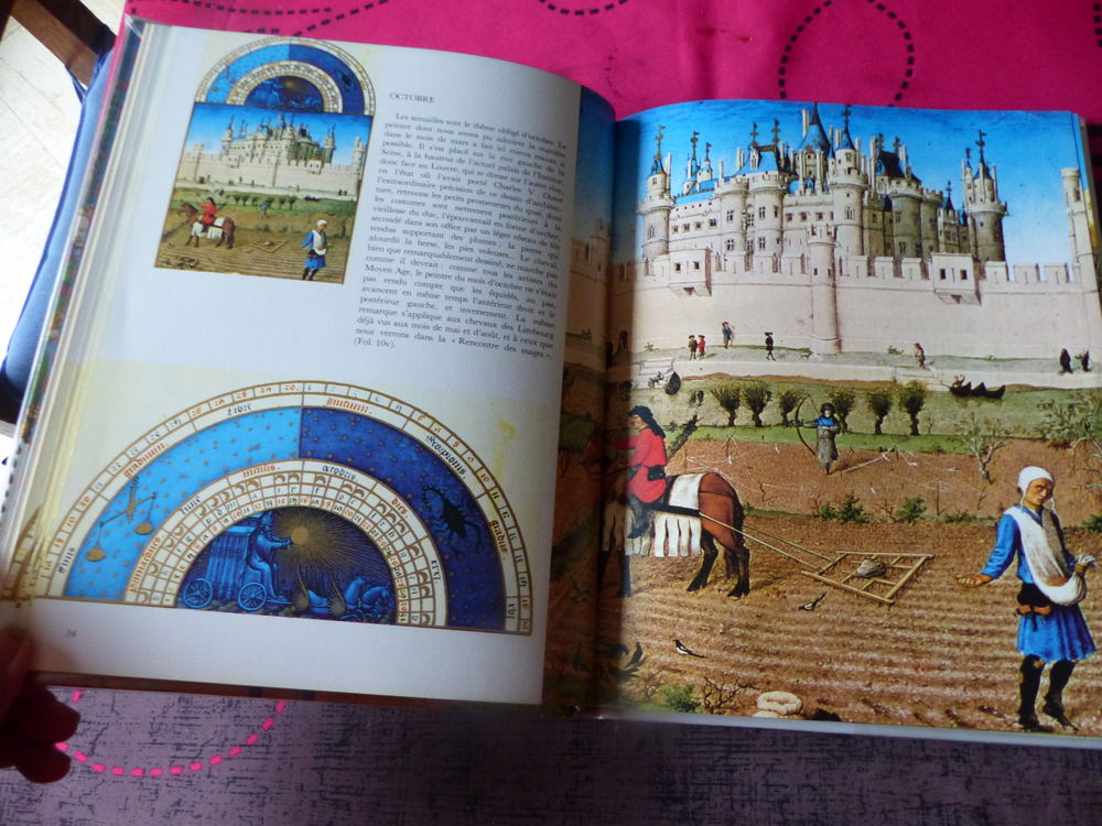 Les Tr&egrave;s Riches Heures du DUC de BERRY Livres et BD