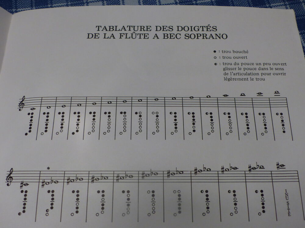 LES PLAISIRS DE LA FLUTE A BEC Livres et BD