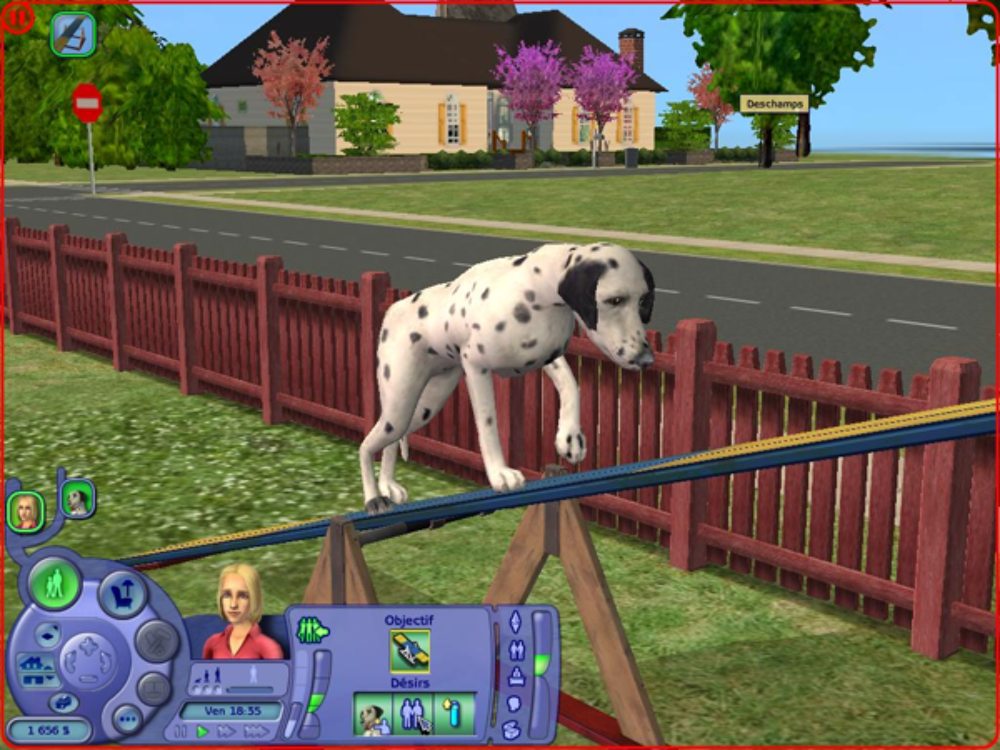 Les Sims 3 Histoires d'Animaux Consoles et jeux vidos