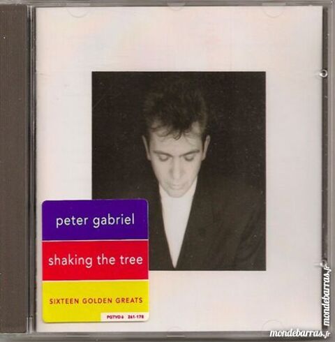 Peter Gabriel Shaking the tree 6 Maurepas (78)