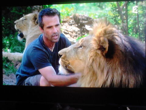 Ecran plat 108cm 230 Villeneuve-d'Ascq (59)