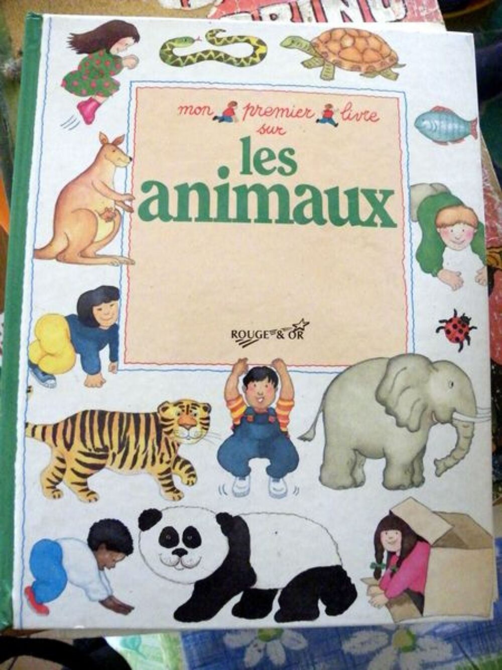 mon premier livre sur les les animaux Livres et BD