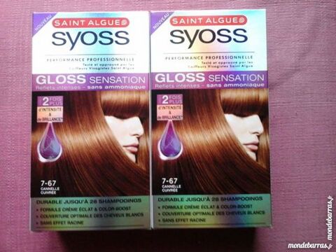 Deux colorations Saint Algue Syoss Gloss Sensation 10 Le Havre (76)