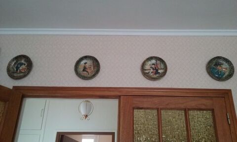 4 assiettes dcoratives sur activits du Sud-Ouest 36 Chlette-sur-Loing (45)