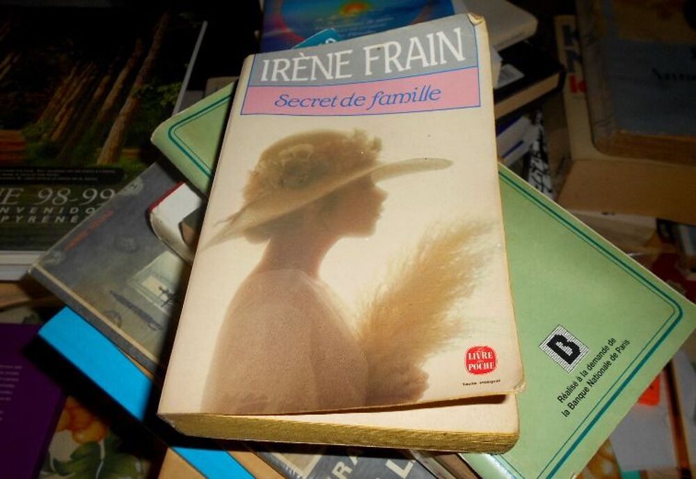 Roman Secret de famille Ir&egrave;ne Frain Livres et BD