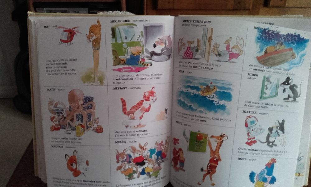 Livre "Le dictionnaire des petits" Livres et BD