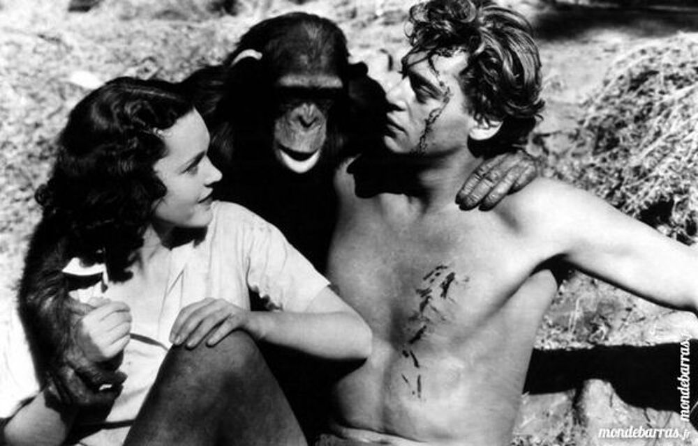Dvd: Tarzan, l'homme singe (276) DVD et blu-ray
