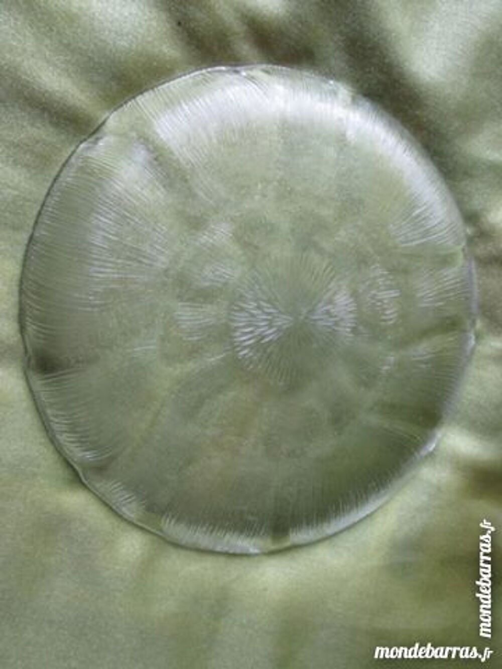 6 Grandes assiette en verre transparente Cuisine