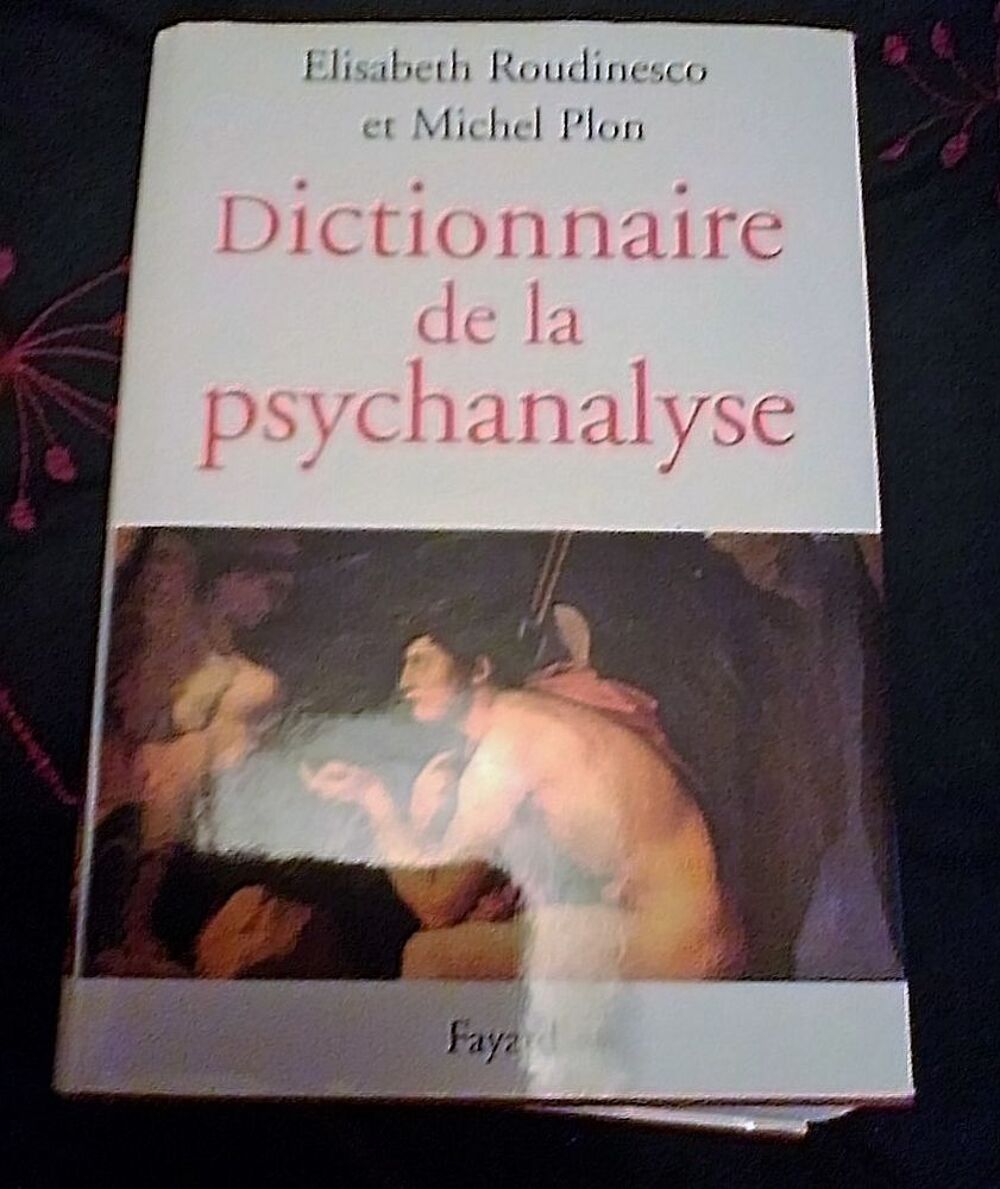 Dictionnaire de la psychanalyse - Roudinesco/Plon Livres et BD