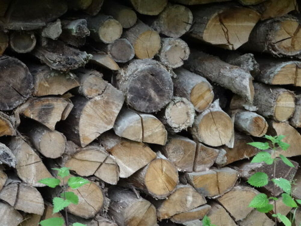 Bois de chauffage pr&ecirc;t &agrave; l'emploi Jardin