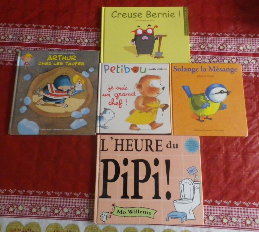 LOT DE 5 LIVRES POUR ENFANTS BERNIE ARTHUR ETC Livres et BD