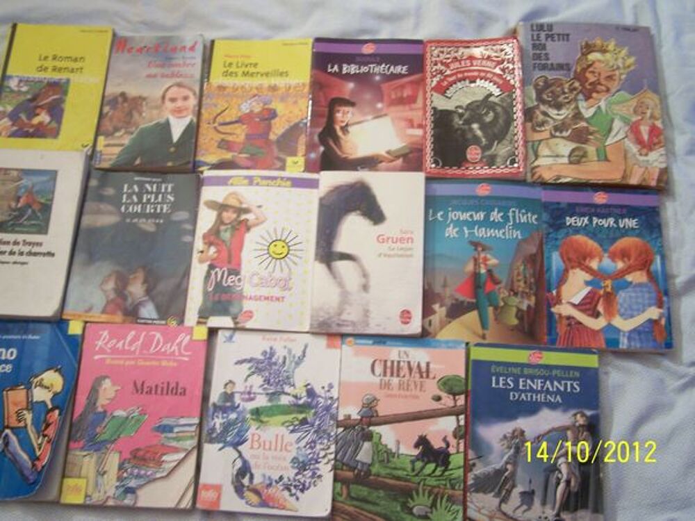 LOT DE DIVERS LIVRES JEUNESSE Livres et BD
