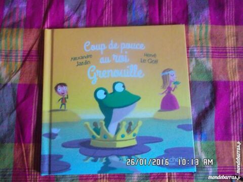 coup de pouce au roi grenouille 1 Chambly (60)