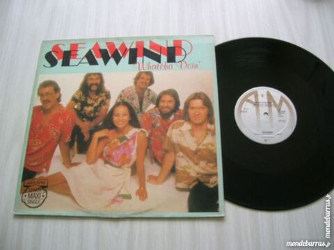 MAXI 45 TOURS SEAWIND Whatcha doin' 12 Nantes (44)