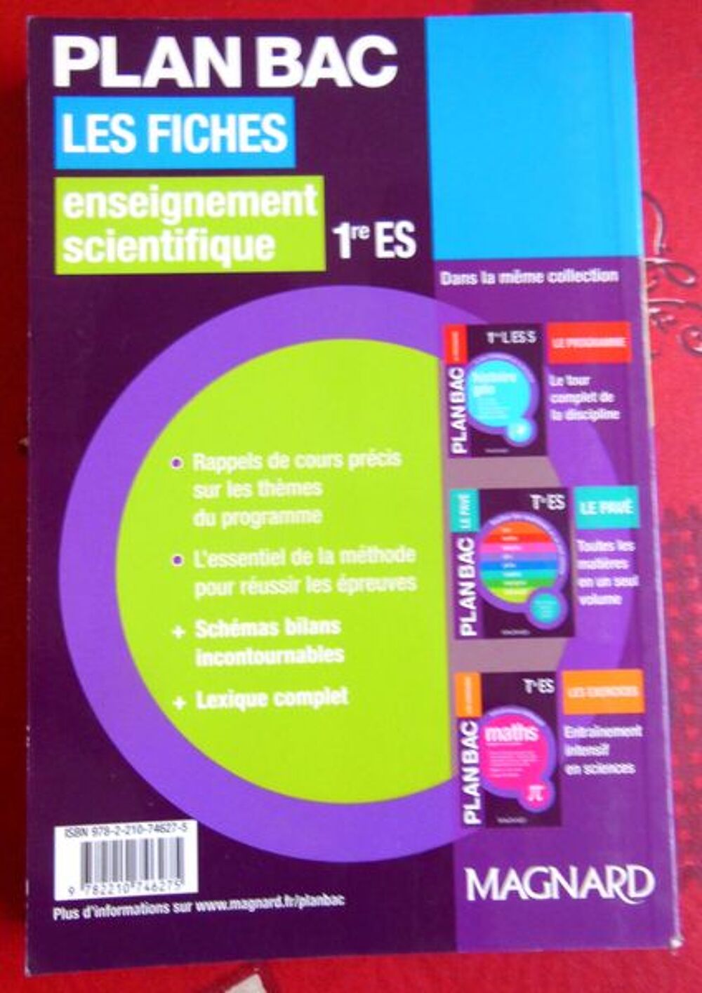 PLAN BAC LES FICHES LIVRES NEUF Livres et BD