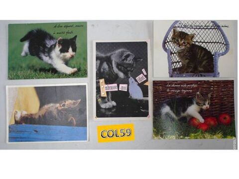 5 CARTES POSTALES: LES CHATS - lot4 5 Mons-en-Barul (59)