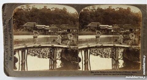 Photographie strotype jardin d'Hikone au Japon 10 Nice (06)