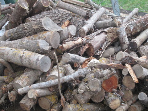 BOIS SEC FRENE 0 Ch�teauneuf-Grasse (06)