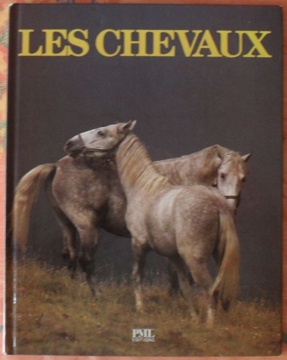 Les CHEVAUX de Angela SAYER &eacute;ditions PML Livres et BD